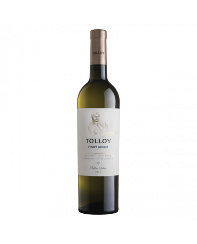 White wines  Pinot Grigio Alto Adige DOC 2022 - Tolloy 11,25 € White wines  Pinot Grigio Alto Adige DOC 2022 - Tolloy 11,25 €
