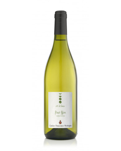 White wines  Viti di Luna Pinot Nero Vinificato in Bianco 2022 DOC - Cantine Montagna 8,50 â‚¬ White wines  Viti di Luna Pinot Nero Vinificato in Bianco 2022 DOC - Cantine Montagna 8,50 â‚¬