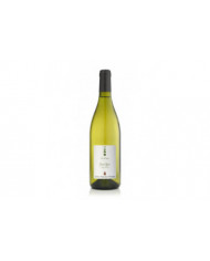 Vini Bianchi  Viti di Luna Pinot Nero Vinificato in Bianco 2022 DOC - Cantine Montagna 8,50 €