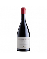Red Wines  Marzemino Trentino Superiore DOC 2017 - Musivum 40,00 €