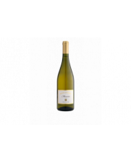 Witte Wijnen  Masaria Oltrepo’ Pavese Sauvignon DOC 2021 Bertè & Cordini 16,80 €