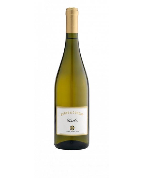 White wines  Üsela Oltrepo’ Pavese Moscato DOC 2022 Bertè & Cordini 13,43 â‚¬ White wines  Üsela Oltrepo’ Pavese Moscato DOC 2022 Bertè & Cordini 13,43 â‚¬