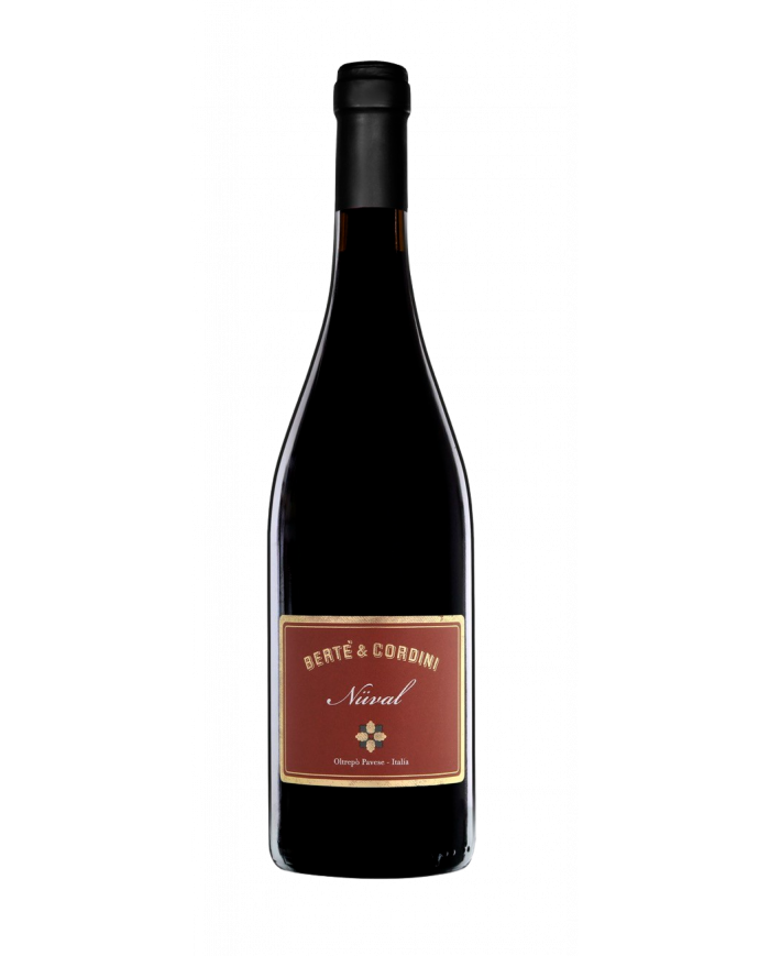Red Wines  Nüval Pinot Nero Oltrepo’ Pavese DOC 2016 Bertè & Cordini 25,83 â‚¬ Red Wines  Nüval Pinot Nero Oltrepo’ Pavese DOC 2016 Bertè & Cordini 25,83 â‚¬
