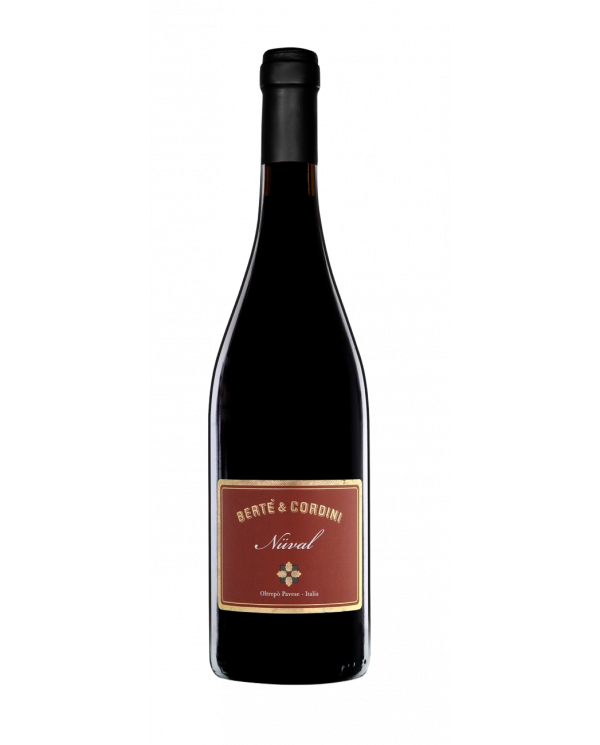 Red Wines  Nüval Pinot Nero Oltrepo’ Pavese DOC 2016 Bertè & Cordini 25,83 â‚¬ Red Wines  Nüval Pinot Nero Oltrepo’ Pavese DOC 2016 Bertè & Cordini 25,83 â‚¬