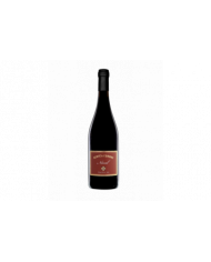 Red Wines  Nüval Pinot Nero Oltrepo’ Pavese DOC 2016 Bertè & Cordini 25,83 â‚¬ Red Wines  Nüval Pinot Nero Oltrepo’ Pavese DOC 2016 Bertè & Cordini 25,83 â‚¬