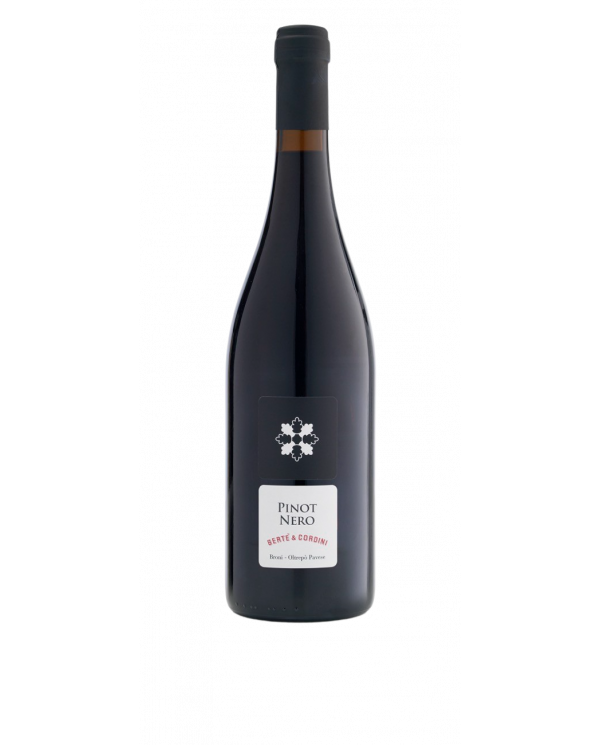 Red Wines  Primo Fiore Pinot Nero Oltrepo’ Pavese DOC - Bertè & Cordini 14,63 â‚¬ Red Wines  Primo Fiore Pinot Nero Oltrepo’ Pavese DOC - Bertè & Cordini 14,63 â‚¬