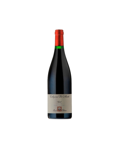 Red Wines  Syrah Collezione Privata 2017 - Isole e Olena 49,50 €