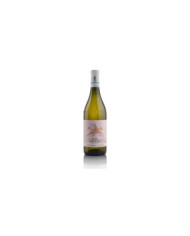 Vini Bianchi  Langhe Nascetta Amphorae Cecilia 2018 - Cascina Corte 17,20 €