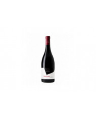 Red Wines  Centuno Nero D'Avola DOC 2020 - CVA Canicattì 9,75 €