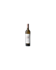 Vini Bianchi  S. Michele Trebbiano d'Abruzzo DOC 2023 - Centorame 8,54 €