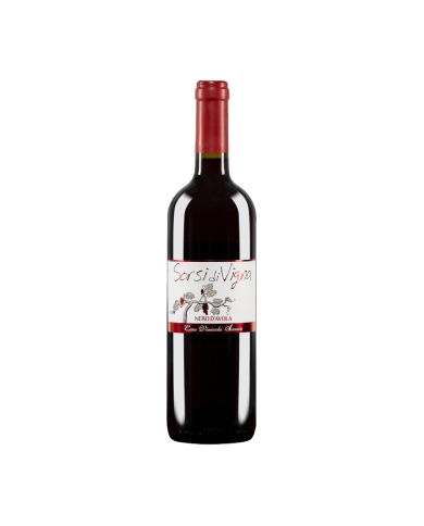 Red Wines  Nero Avola Sorsi di Vigna DOC 2021 - Cummo Vini - Casa Vinicola Sicania 5,44 €