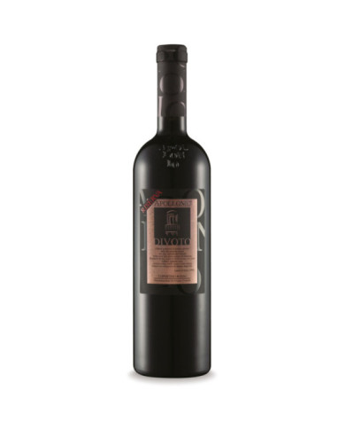 Vini Rossi  Divoto Copertino DOP Riserva 2013 - Apollonio 25,33 € Vini Rossi  Divoto Copertino DOP Riserva 2013 - Apollonio 25,33 €