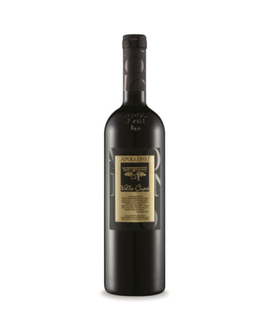 Vini Rossi  Valle Cupa Salento IGP 2020 - Apollonio 16,80 € Vini Rossi  Valle Cupa Salento IGP 2020 - Apollonio 16,80 €