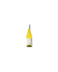 Witte Wijnen  Scuderie Ducali PECORINO Colli Aprutini IGT 2021 - Centorame 6,86 €