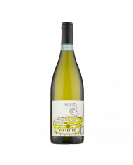 Vini Bianchi  La Canaglia Pecorino Superiore DOC 2022 magnum - Fontefico 36,89 €