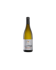 White wines  Pecorino Igt 2022 ( 375 ml. ) Cascina del Colle 5,30 €