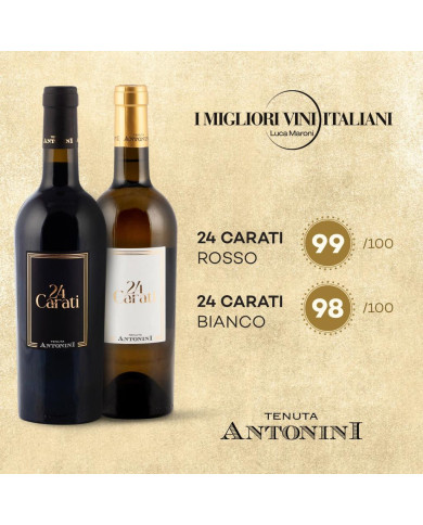 Rode wijnen  24 Carati Limited Edition Vino Rosso d'Italia 2019 - Tenuta Antonini 20,41 â‚¬ Rode wijnen  24 Carati Limited Edition Vino Rosso d'Italia 2019 - Tenuta Antonini 20,41 â‚¬