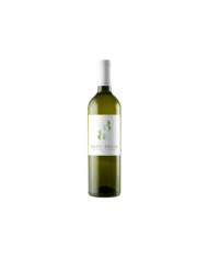 White wines  Sauvignon Blanc Trevenezie IGT 2021 - Battibecco 6,30 â‚¬ White wines  Sauvignon Blanc Trevenezie IGT 2021 - Battibecco 6,30 â‚¬