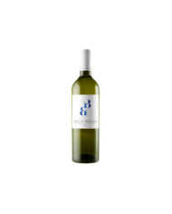 White wines  Chardonnay Trevenezie IGT 2021 - Battibecco 6,10&nbsp;€