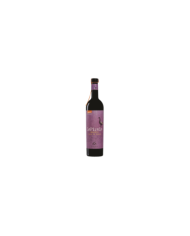 Vini Bianchi  La PIRALE Moscato Terre di Chieti IGP 2017 - Lunaria - Cantina Orsogna 9,59 €