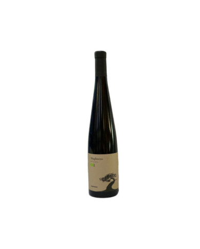 Vini Rossi  Rosso Calabria IGP Magliocco Bio 2020 - Campoverde 6,06 € Vini Rossi  Rosso Calabria IGP Magliocco Bio 2020 - Campoverde 6,06 €