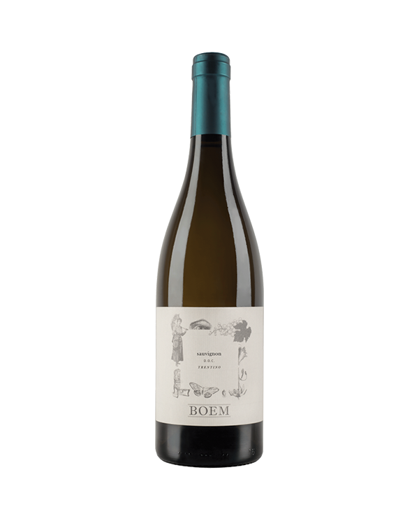 White wines  Sauvignon Trentino DOC 2019 - Cantina Boem 8,12 â‚¬ White wines  Sauvignon Trentino DOC 2019 - Cantina Boem 8,12 â‚¬