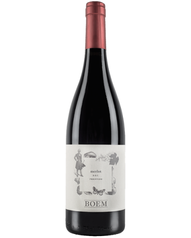 Red Wines  Merlot Trentino DOC 2019 - Cantina Boem 10,19 € Red Wines  Merlot Trentino DOC 2019 - Cantina Boem 10,19 €