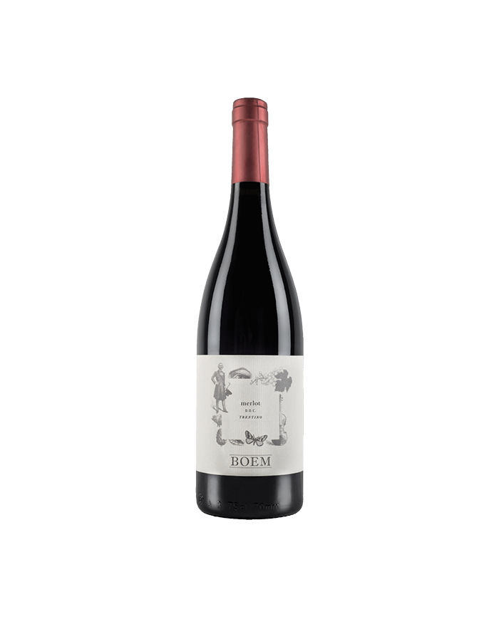 Red Wines  Merlot Trentino DOC 2019 - Cantina Boem 10,19 €