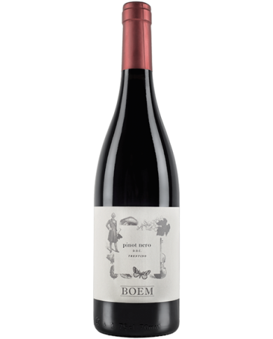 Red Wines  Pinot Nero Trentino DOC 2019 - Cantina Boem 10,19 € Red Wines  Pinot Nero Trentino DOC 2019 - Cantina Boem 10,19 €