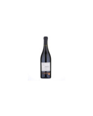 Red Wines  Amarone della valpolicella DOCG 2018 - Cantina di Verona 18,30 €