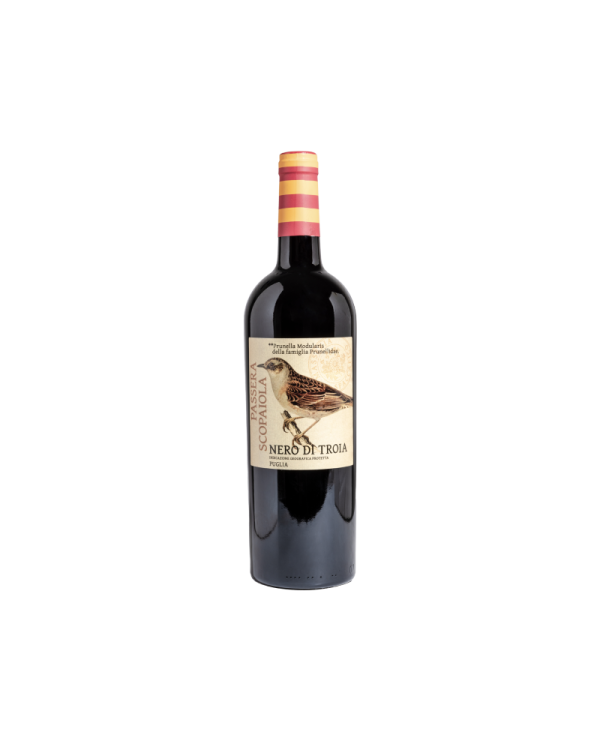 Rode wijnen  Prunella modularis nero di troia Puglia IGP 2019 - Masseria Spaccafico 8,12 â‚¬ Rode wijnen  Prunella modularis nero di troia Puglia IGP 2019 - Masseria Spaccafico 8,12 â‚¬