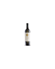 White wines  SOLAREA Trebbiano d’Abruzzo DOC 2020 - Agriverde 11,97 €