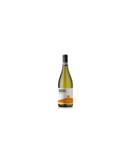 Witte Wijnen  RISEIS Pecorino IGP Bio 2020 - Agriverde 6,95 €