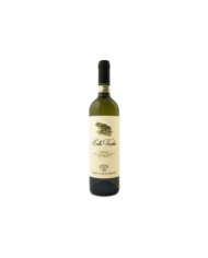 Witte Wijnen  Colle Vecchio Pecorino Offida DOCG 2021 - Tenuta Cocci Grifoni 12,30 â‚¬ Witte Wijnen  Colle Vecchio Pecorino Offida DOCG 2021 - Tenuta Cocci Grifoni 12,30 â‚¬