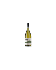 White wines  RISEIS Trebbiano d’Abruzzo DOC Bio 2020 - Agriverde 6,95 €