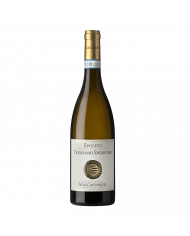 Witte Wijnen  Trebbiano Spoletino Spoleto D.O.C. 2023 - Scacciadiavoli 13,76 €