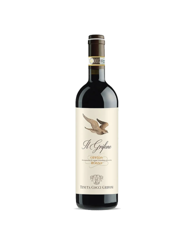 Rode wijnen  Il Grifone Offida DOCG Rosso 2016 magnum - Tenuta Cocci Grifoni 30,80 â‚¬ Rode wijnen  Il Grifone Offida DOCG Rosso 2016 magnum - Tenuta Cocci Grifoni 30,80 â‚¬