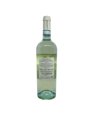 Vini Bianchi  Lauretano Thorinum Trebbiano d'Abruzzo DOP 2021 - Cantina Madonna di Loreto 3,92 €