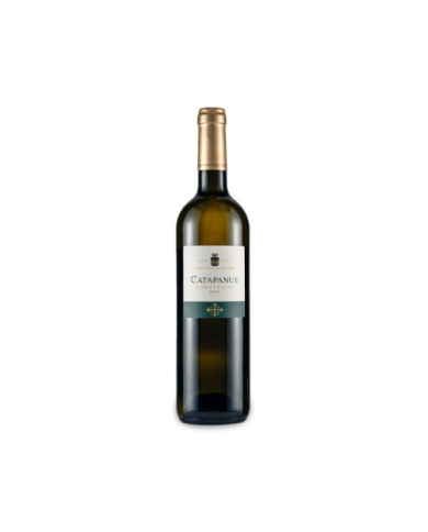 Vini Bianchi  Catapanus Bombibo Bianco 2024 - D'Alfonso del Sordo 10,13 € Vini Bianchi  Catapanus Bombibo Bianco 2024 - D'Alfonso del Sordo 10,13 €