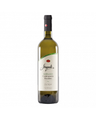 White wines  Soprano Controguerra Pecorino DOP 2021 - Strappelli 10,78 €