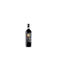 Red Wines  SOLAREA Montepulciano d’Abruzzo DOC 2016 Magnum - Agriverde 17,05 €