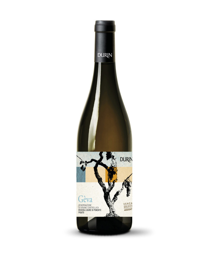 Witte Wijnen  Géva Riviera Ligure di Ponente Pigato Senza Solfiti Doc 2023 - Durin 17,68 €