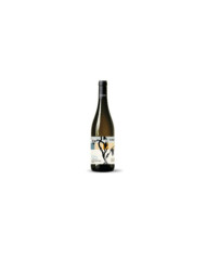 Witte Wijnen  Gèva Pigato Riviera Ligure di Ponente DOC senza solfiti 2022 - Durin 20,48 €