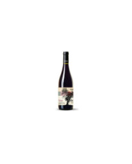 Red Wines  Stissa Granaccia Riviera Ligure di Ponente DOC Senza Solfiti 2022 - Durin 19,05 €