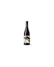 Red Wines  Ormeasco Superiore Riviera Ligure di Ponente DOC 2022 - Durin 16,51 €