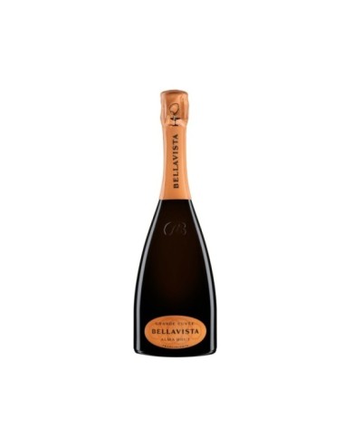 Vini Spumanti  Franciacorta Grande Cuvée Alma Brut DOCG - Bellavista 31,39 € Vini Spumanti  Franciacorta Grande Cuvée Alma Brut DOCG - Bellavista 31,39 €