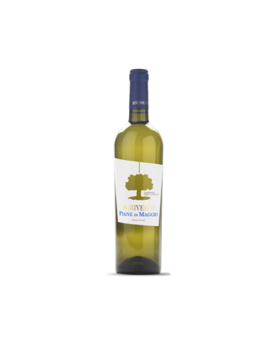 White wines  PIANE DI MAGGIO Chardonnay IGP 2020 Magnum - Agriverde 8,11 €