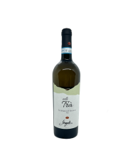 White wines  Colle Trà Trebbiano D'Abruzzo DOP 2022 - Strappelli 11,07 €