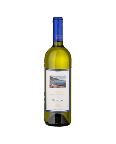 Vini Bianchi  Ravello Bianco 2023 - Marisa Cuomo 24,96 € Vini Bianchi  Ravello Bianco 2023 - Marisa Cuomo 24,96 €