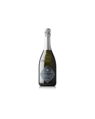 Vini Spumanti  Ruiol Castei Valdobbiadene Prosecco Superiore Docg Millesimato Extra Dry - Follador 14,20 â‚¬ Vini Spumanti  Ruiol Castei Valdobbiadene Prosecco Superiore Docg Millesimato Extra Dry - Follador 14,20 â‚¬